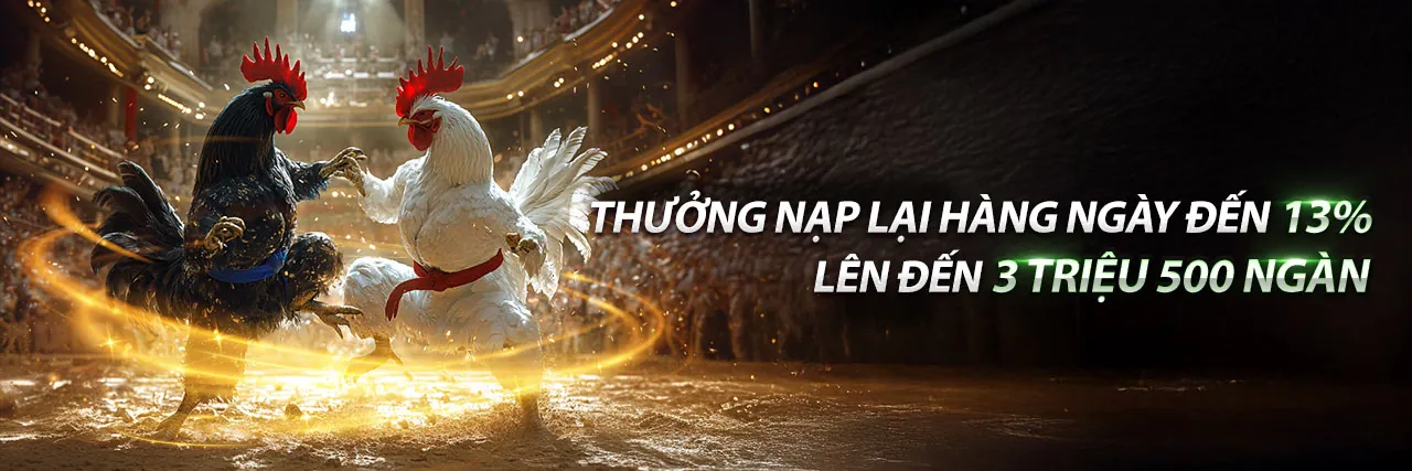 Hình ảnh đặc quyền VIP new88bi chính thức